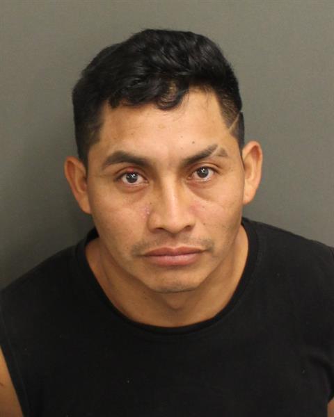  WILMAR M RAMIREZTRIGUEROS Photo Image