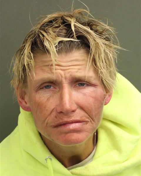 ALISHA MICHELLE MCCLELLAN Mugshot ALISHA MICHELLE MCCLELLAN Mugshot / County Arrests / Orange County Arrests