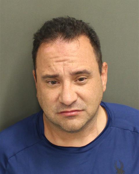  CHRISTOPHER D REFFALT Mugshot / County Arrests / Orange County Arrests