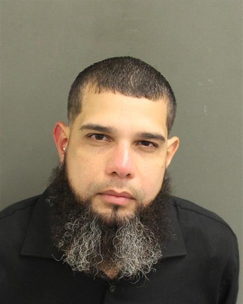 FRANCISCO VARGASDOMINICCI Mugshot / County Arrests / Orange County Arrests
