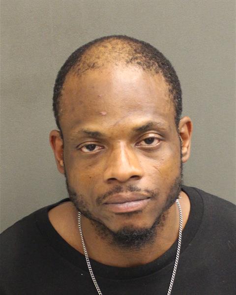  ROBERT LAMAR JR WILLIAMS Photo Image