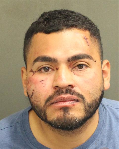  JONATHAN PADILLA HERNANDEZ Photo Image