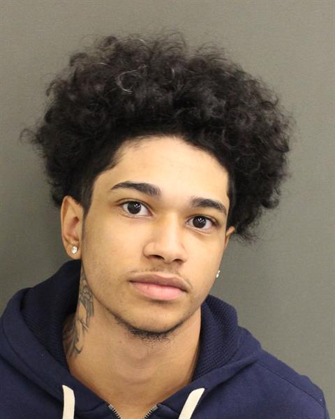 RAUL ADRIAN MARIA Mugshot / County Arrests / Orange County Arrests