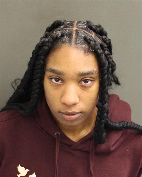 SANDY DENISE WILLIAMS Mugshot / County Arrests / Orange County Arrests