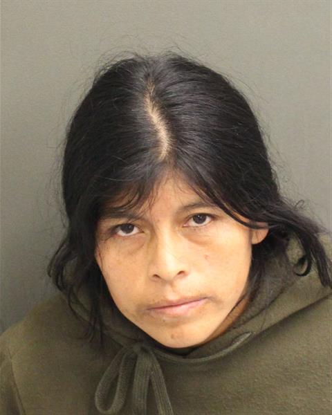  LAURA FABIOLA TOINGACAIZA Mugshot / County Arrests / Orange County Arrests