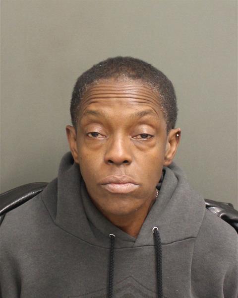  CARLA MICHELLE TURNER Mugshot / County Arrests / Orange County Arrests