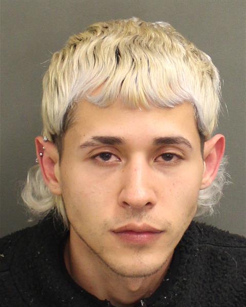  KENNETH JOEL RODRIGUEZNEGRON Photo Image