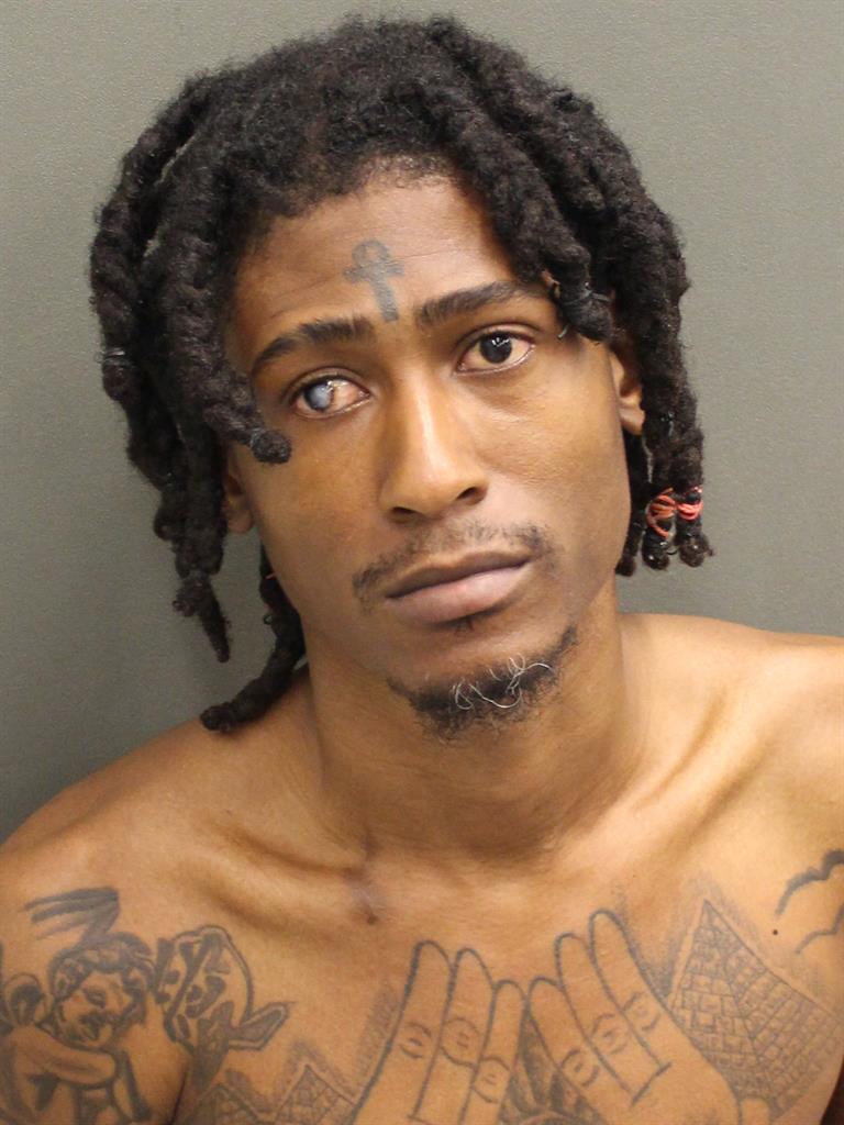  MARTENS MITIL Photo Image