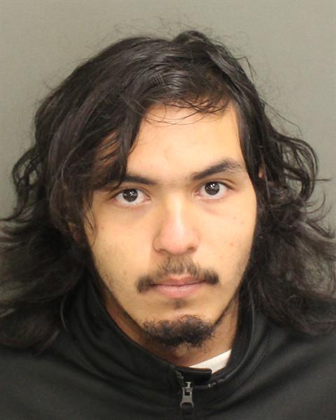  LUKE LARSON Photo Image