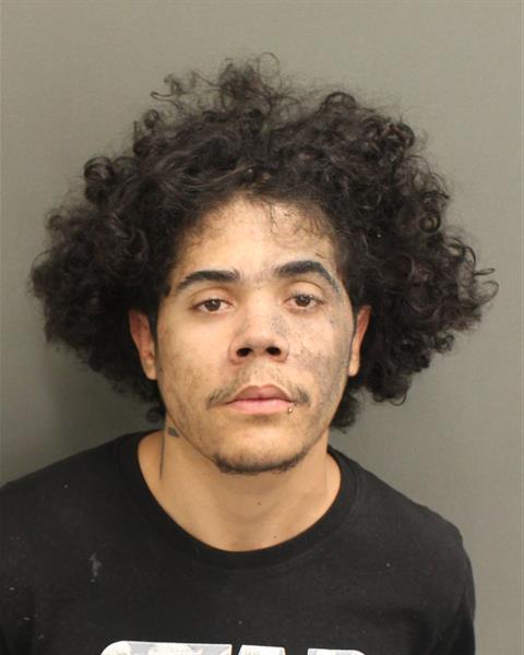  DIEGO TAVAREZFLEURY Photo Image