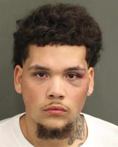  EDWIN JANUELLE AYALA Mugshot / County Arrests / Orange County Arrests