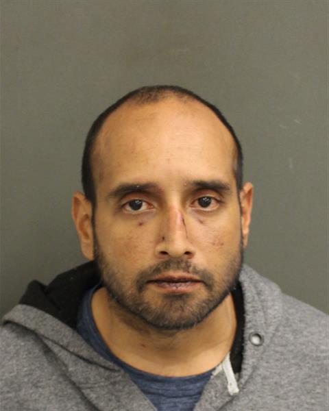  MICHAEL JOSEPH PIZZA Mugshot / County Arrests / Orange County Arrests