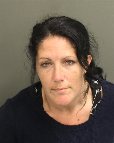  CARI ANN LEWIS Mugshot / County Arrests / Orange County Arrests