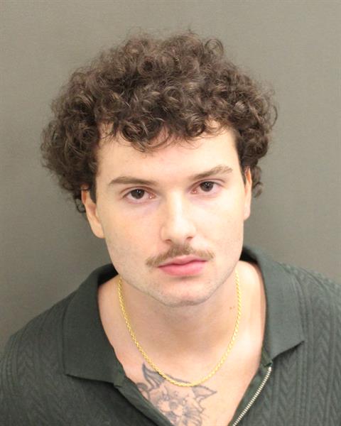  DAVID ALEXANDER BRANNON Mugshot / County Arrests / Orange County Arrests