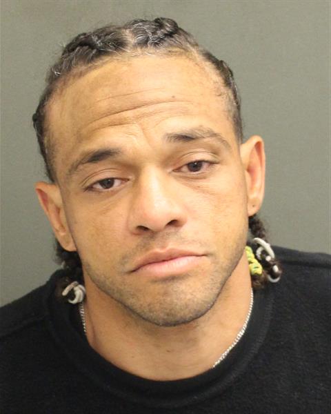  ANGEL RIVERAMEJIA Mugshot / County Arrests / Orange County Arrests