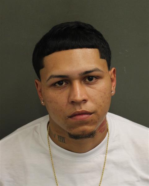 JELVISE JAVIERAZEEZE LIZARDIBAEZ Mugshot / County Arrests / Orange County Arrests