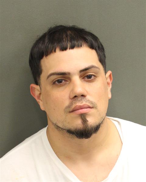  LORENZO ALBERTO MOLINA Mugshot / County Arrests / Orange County Arrests