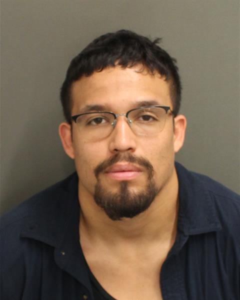  RUBEN DARIO BORJA Mugshot / County Arrests / Orange County Arrests