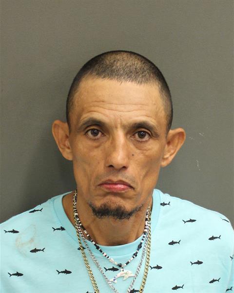  HERIBERTO DEJESUS HERNANDEZSANTOS Mugshot / County Arrests / Orange County Arrests