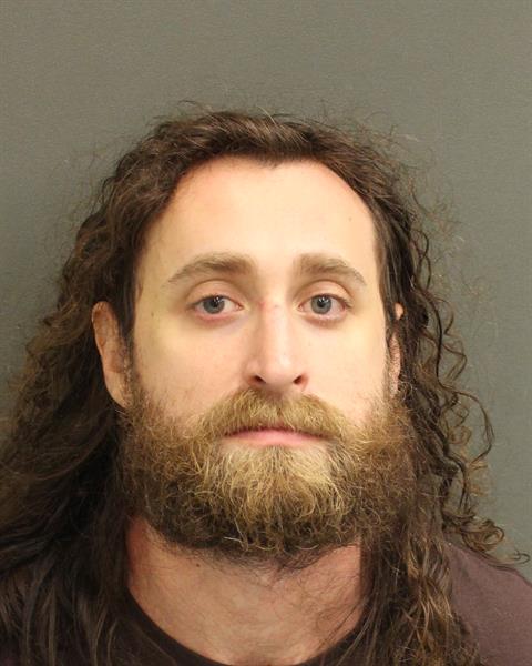  SAUL ZACHARY DIAMOND Mugshot / County Arrests / Orange County Arrests