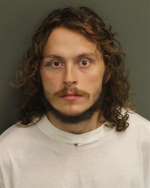  ROBERT JAMES VANDEGRIFT Mugshot / County Arrests / Orange County Arrests
