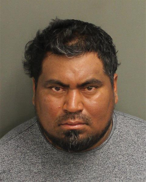  RAFAEL MIJANDRO RAMIREZ Mugshot / County Arrests / Orange County Arrests