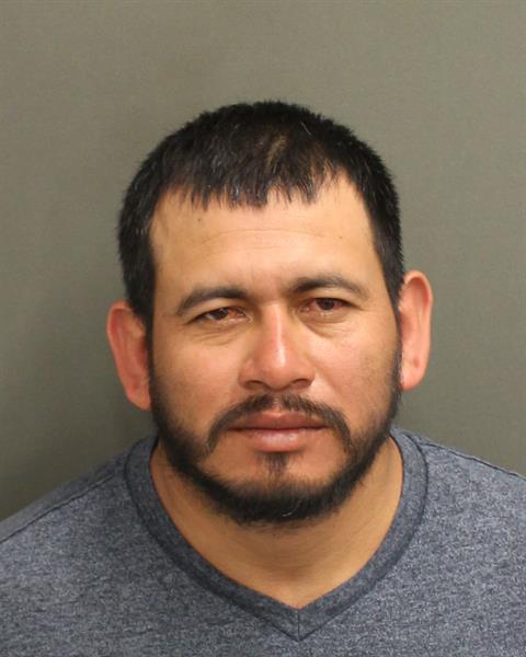  DOMINGO CASASRAMIREZ Photo Image