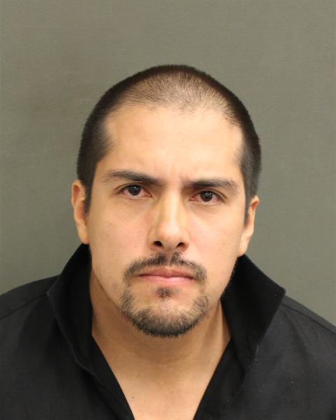  CAMILO ALDANAADARVE Mugshot / County Arrests / Orange County Arrests