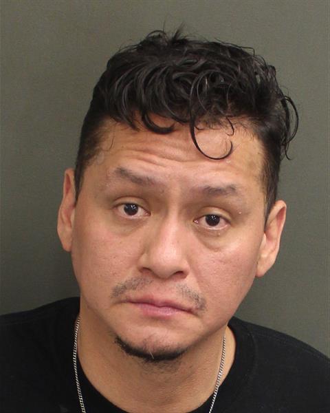  JOHANN CASTILLO Mugshot / County Arrests / Orange County Arrests