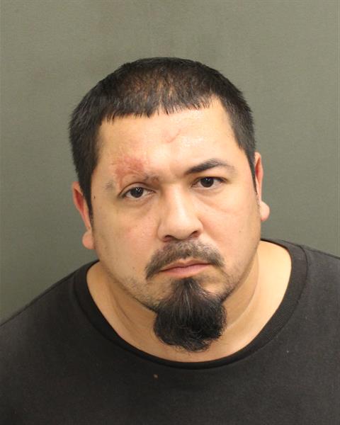  JOSE CRUZ DAUPHIN Photo Image