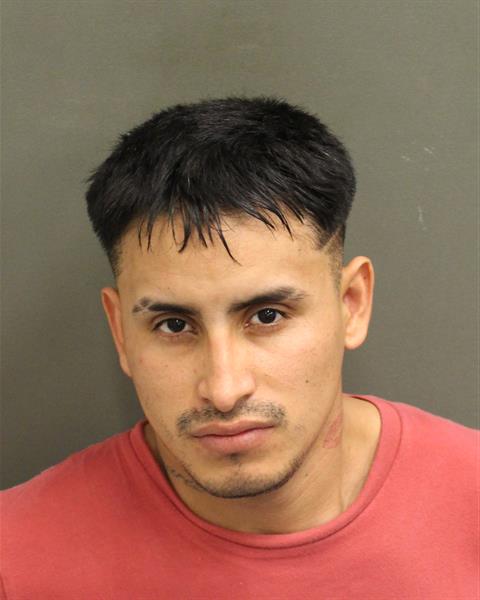  NESTOR DANIEL FLORESALVAREZ Photo Image