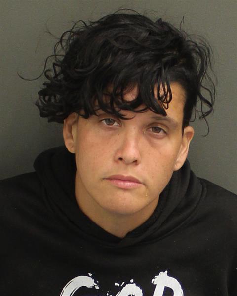  VANESSA SANTIAGO Mugshot / County Arrests / Orange County Arrests