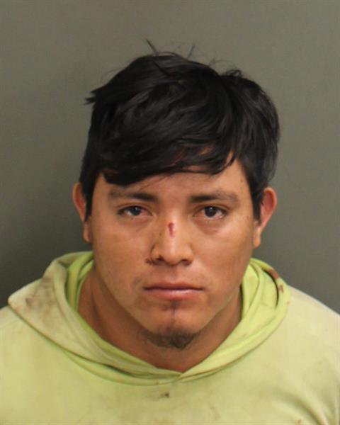  BALDEMAR EFRAIN DOMINGOAMBROCIO Photo Image