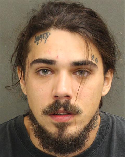  SEBASTIEN ROGER TROUT Mugshot / County Arrests / Orange County Arrests