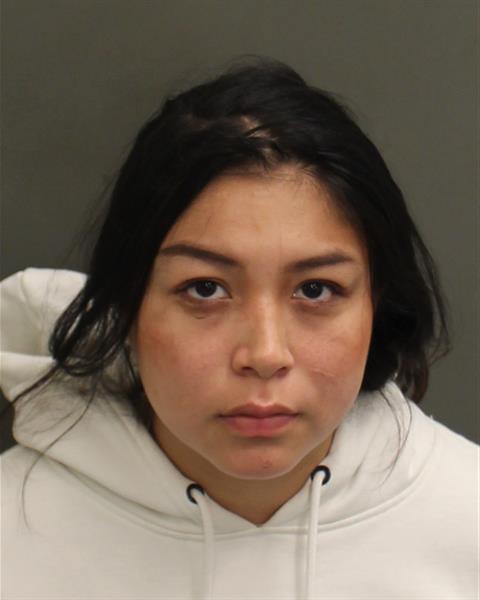  ARLISS KATIE ONEEL Mugshot / County Arrests / Orange County Arrests