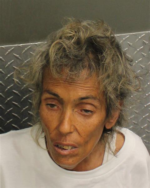  CAROLYN HAYDEN Mugshot / County Arrests / Orange County Arrests