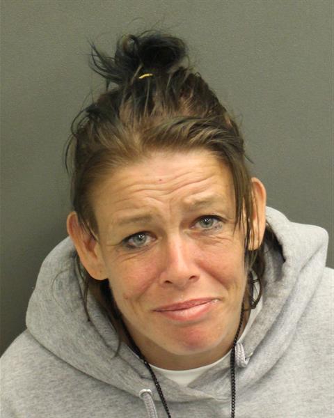 TERI JOYCE COBB Mugshot TERI JOYCE COBB Mugshot / County Arrests / Orange County Arrests