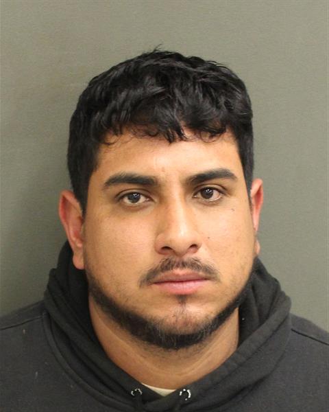  UBALDO VILLAVILLANUEVA Mugshot / County Arrests / Orange County Arrests