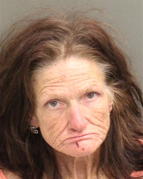  SHEILA MARIE SUMMERLIN Mugshot / County Arrests / Orange County Arrests