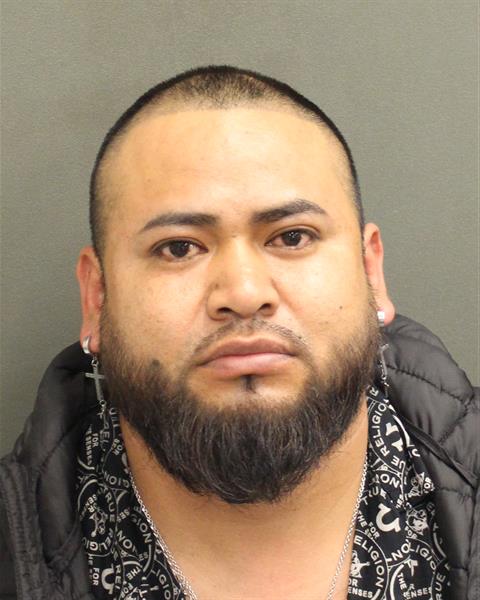 FIDEL GARCIATREJO Mugshot FIDEL GARCIATREJO Mugshot / County Arrests / Orange County Arrests