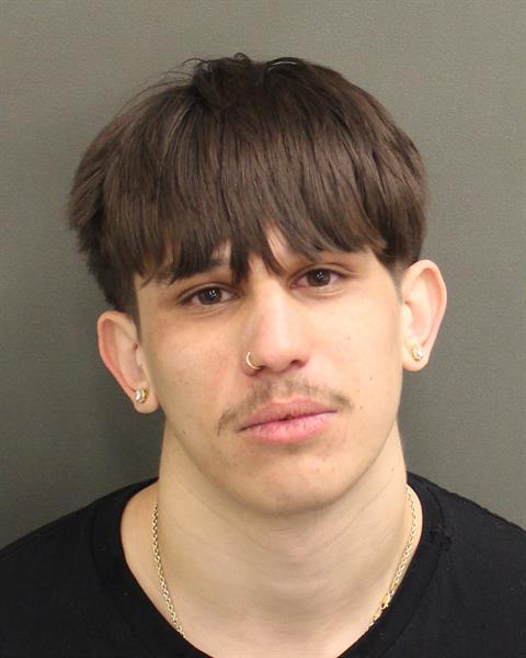  CHRISTIAN DILLON DELPRINCIPE Mugshot / County Arrests / Orange County Arrests