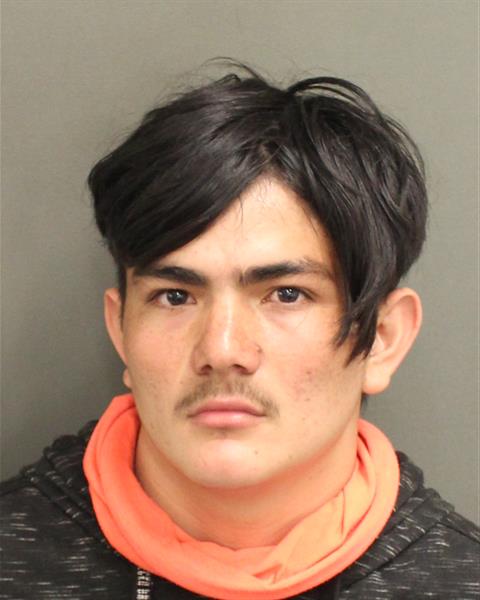  WILDER CABALLEROORELLANO Photo Image