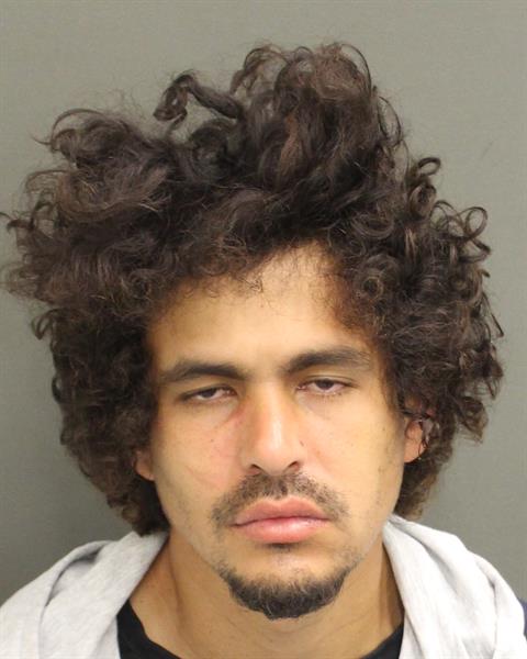  ALVIN JOSE OLIVARICALDERON Mugshot / County Arrests / Orange County Arrests