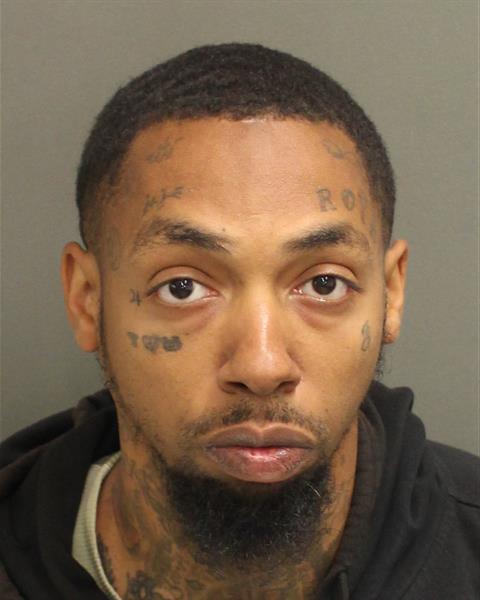  PARIS DAVID PASCHALL Photo Image