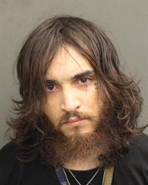  LOUIS ANTHONY ORTIZ Mugshot / County Arrests / Orange County Arrests