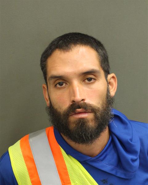  LUIS FERNANDO VASQUEZ Mugshot / County Arrests / Orange County Arrests