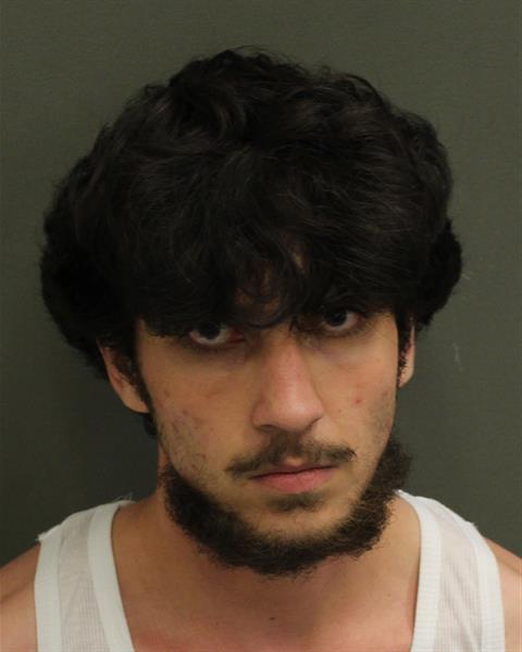 SALAAM HAIDER ALAMERYNOVAK Mugshot SALAAM HAIDER ALAMERYNOVAK Mugshot / County Arrests / Orange County Arrests