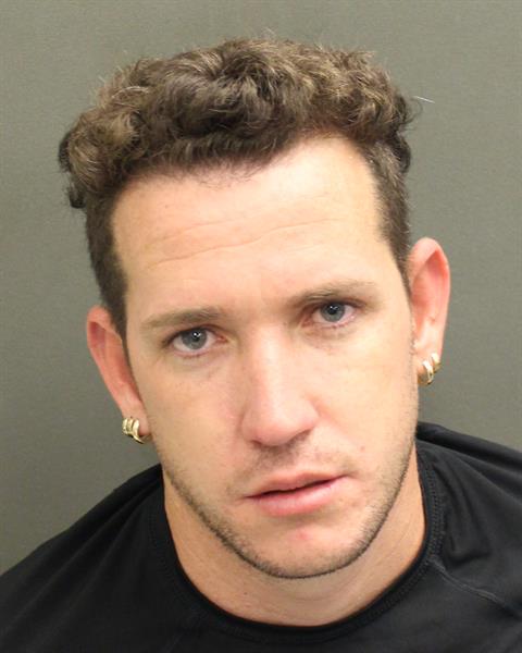 LUIS ALBERTO VALDESALFARO Mugshot / County Arrests / Orange County Arrests