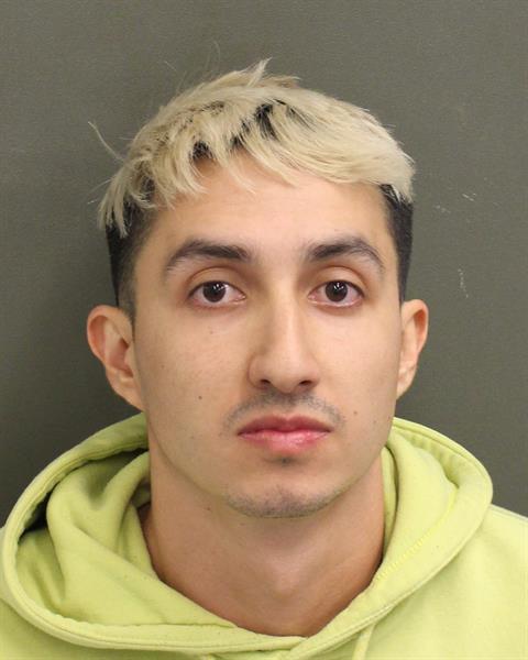  FRANCISCO XAVIER LLERENAYANEZ Mugshot / County Arrests / Orange County Arrests