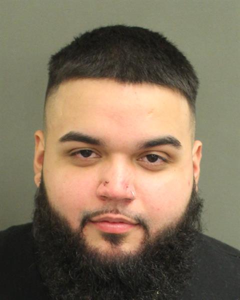  GEORGE BORGESDELVALLE Photo Image